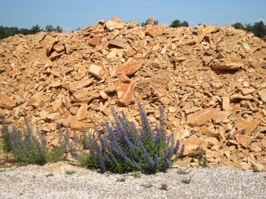 Le SNROC préconise le recyclage des déchets de carrière © Françoise Naudet